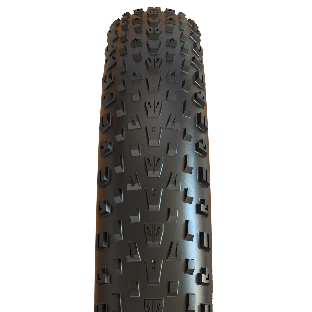 Maxxis Minion FBF 26 x 4.8 Fat Tire + Tube | Surface 604
